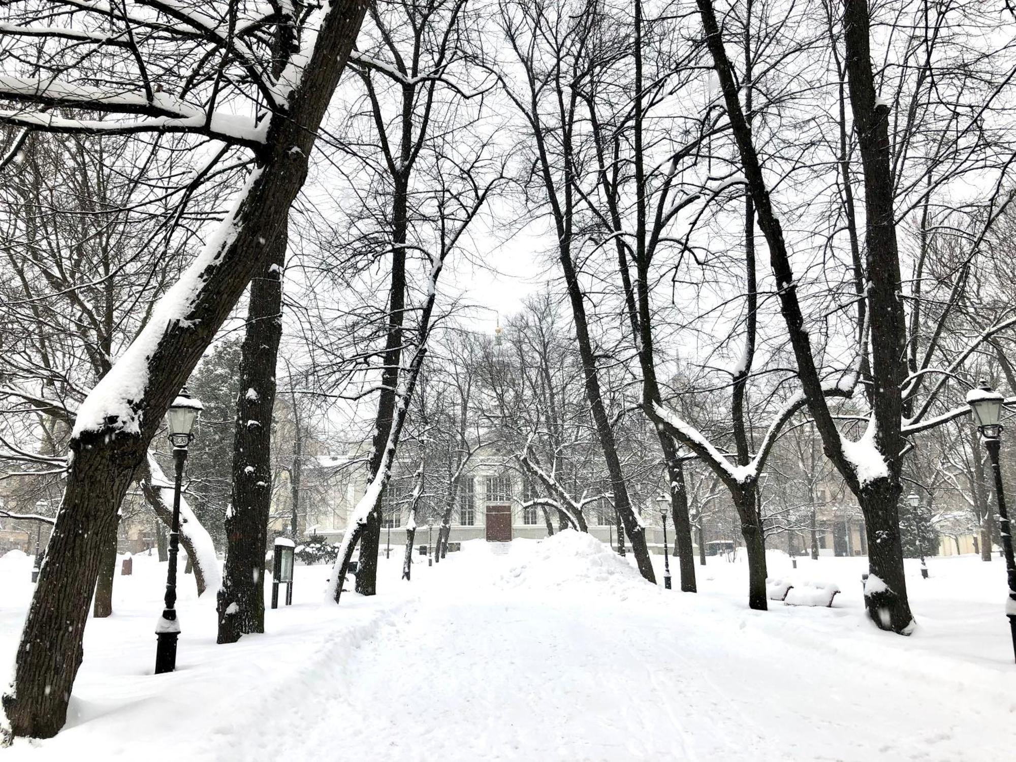 Scandinavian Home In Heard City Helsinky Exteriér fotografie